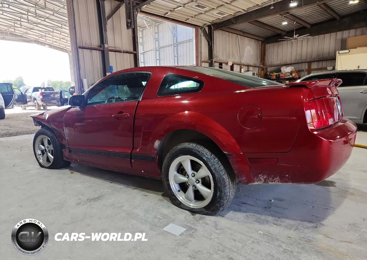 2009 Ford Mustang VIN:1ZVHT80N795102333 - 2