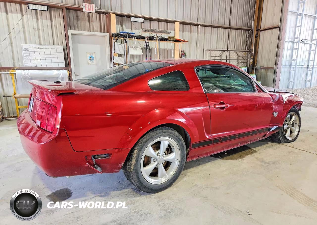 2009 Ford Mustang VIN:1ZVHT80N795102333 - 3