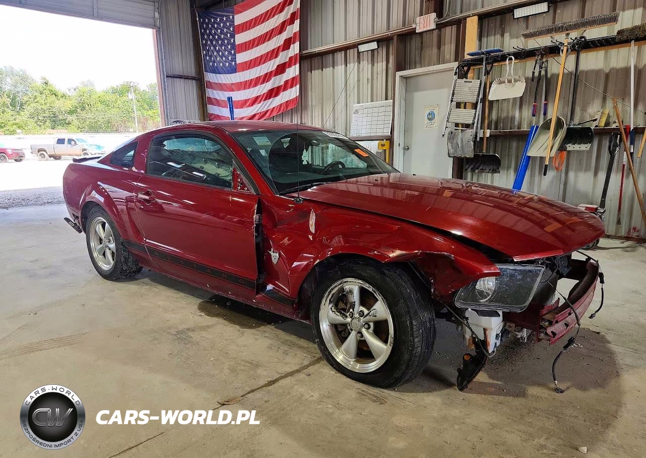 2009 Ford Mustang VIN:1ZVHT80N795102333 - 4