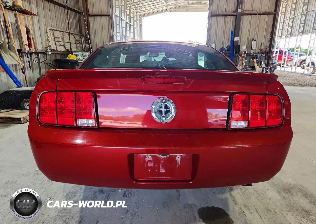 2009 Ford Mustang VIN:1ZVHT80N795102333 - 6