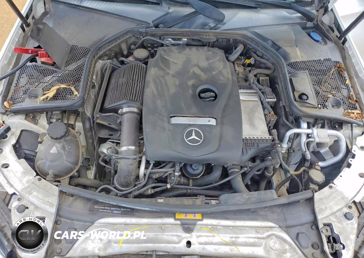 2016 Mercedes-Benz C VIN:55SWF4JB8GU140808 - 11