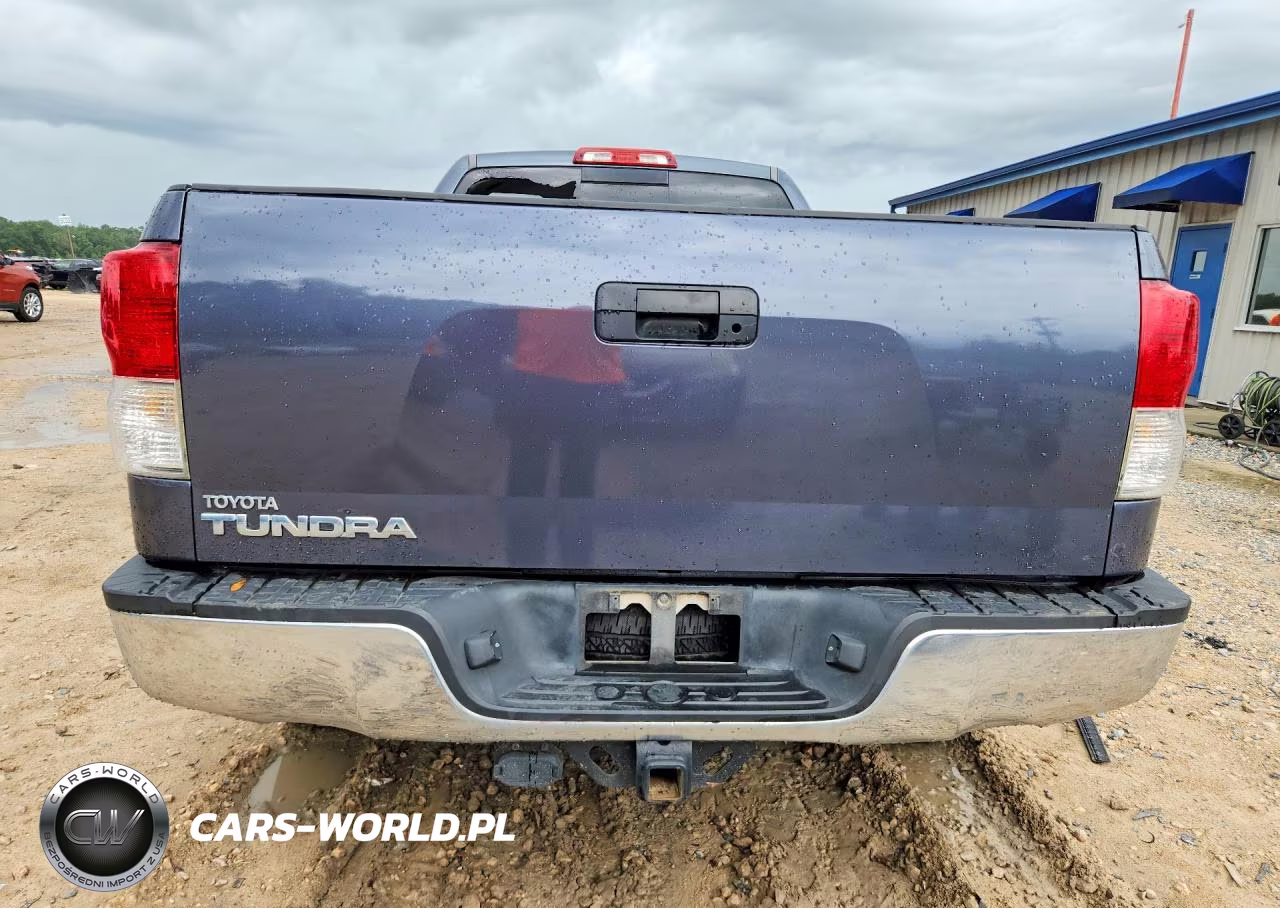 2010 Toyota Tundra Double Cab Sr5 VIN:5TFRM5F14AX013982 - 6
