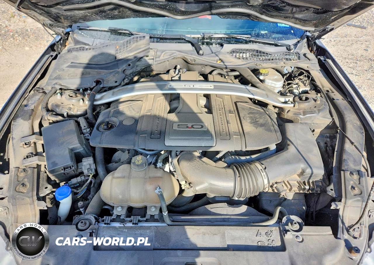 2020 Ford Mustang Gt VIN:1FA6P8CF7L5111484 - 11