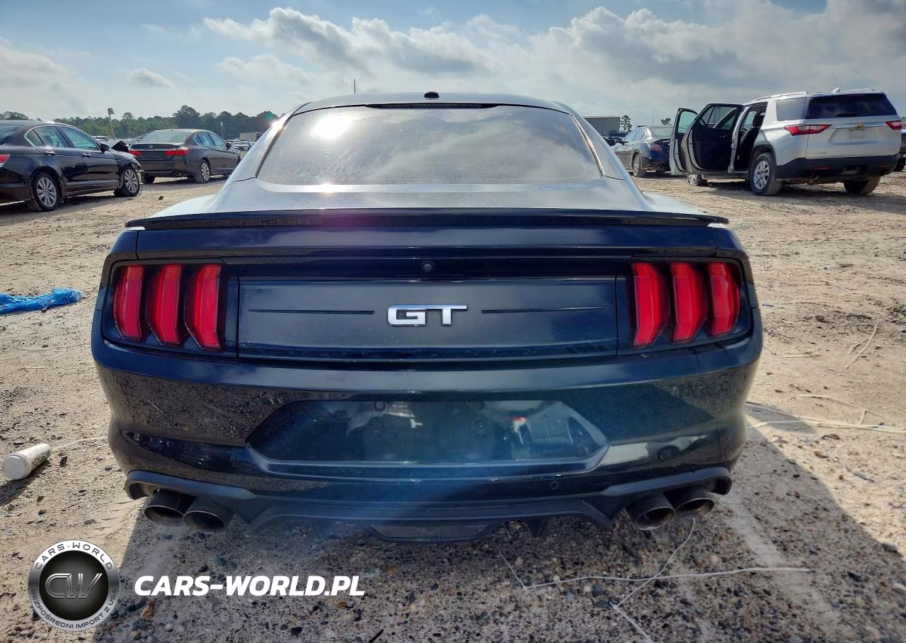 2020 Ford Mustang Gt VIN:1FA6P8CF7L5111484 - 6