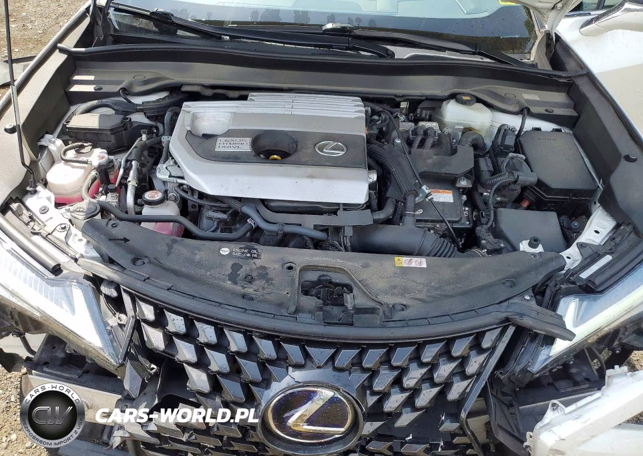 2020 Lexus Ux 250H VIN:JTHP9JBH5L2026131 - 12