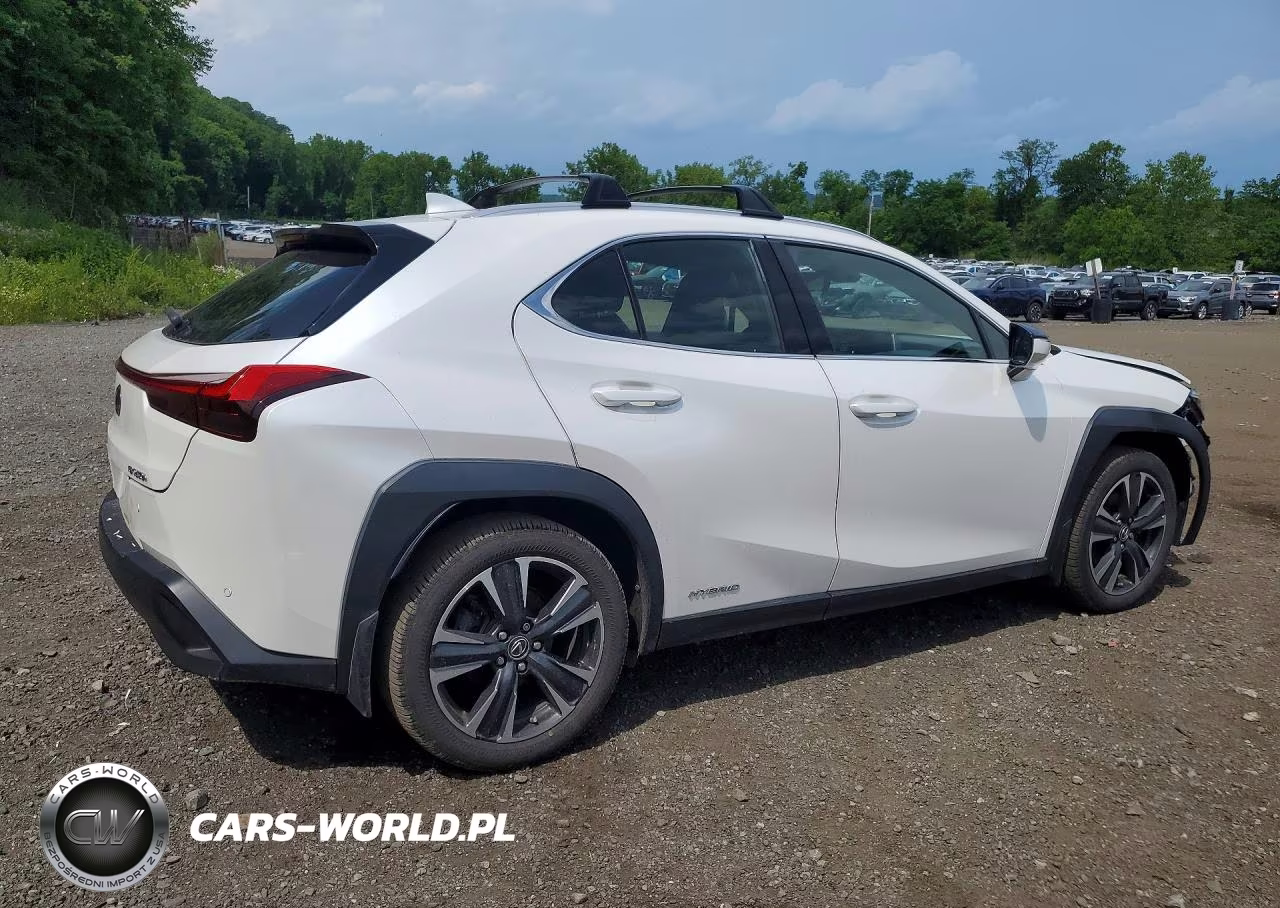 2020 Lexus Ux 250H VIN:JTHP9JBH5L2026131 - 3