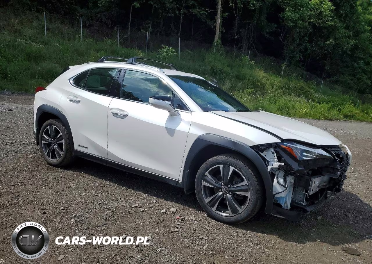 2020 Lexus Ux 250H VIN:JTHP9JBH5L2026131 - 4
