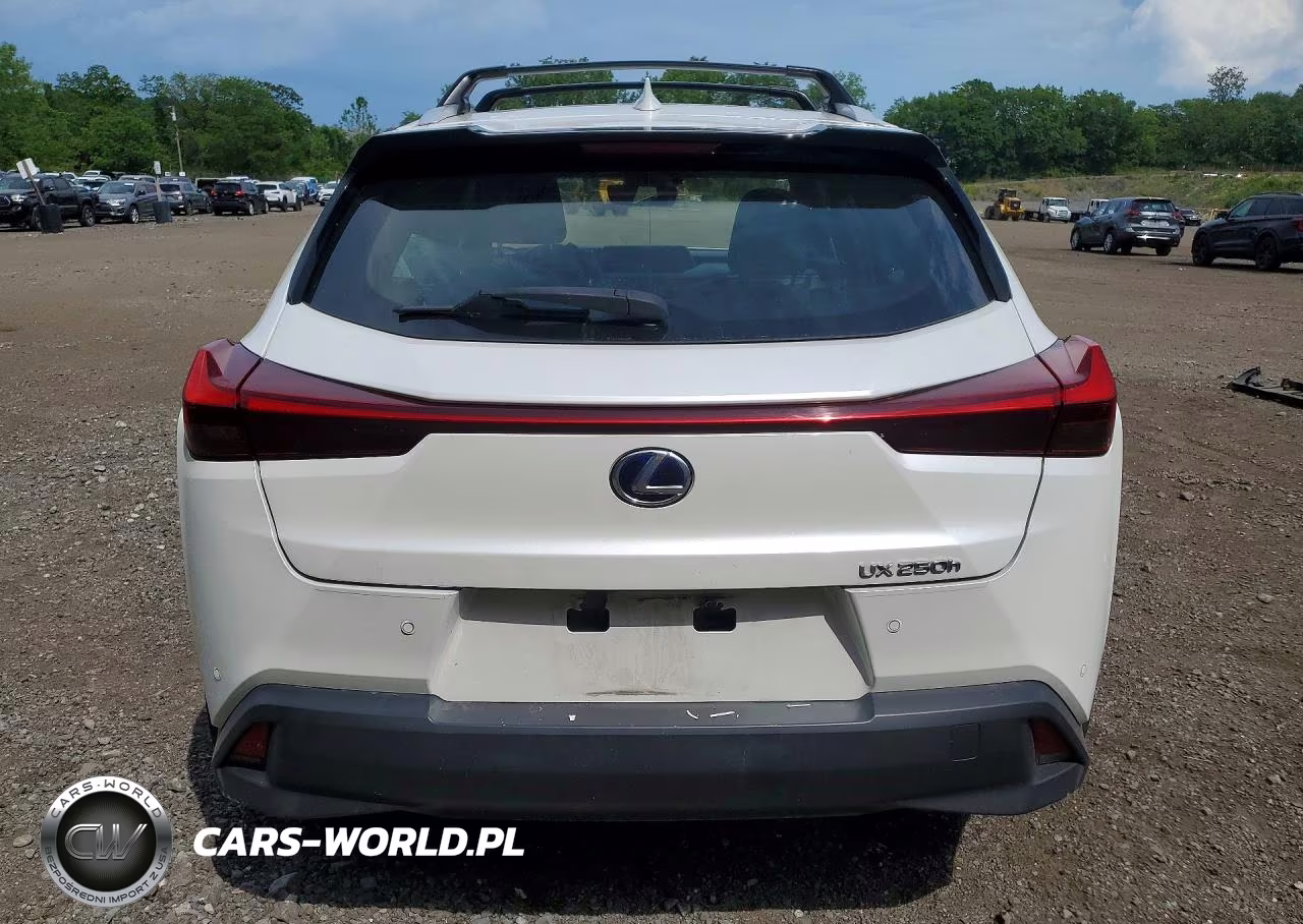 2020 Lexus Ux 250H VIN:JTHP9JBH5L2026131 - 6
