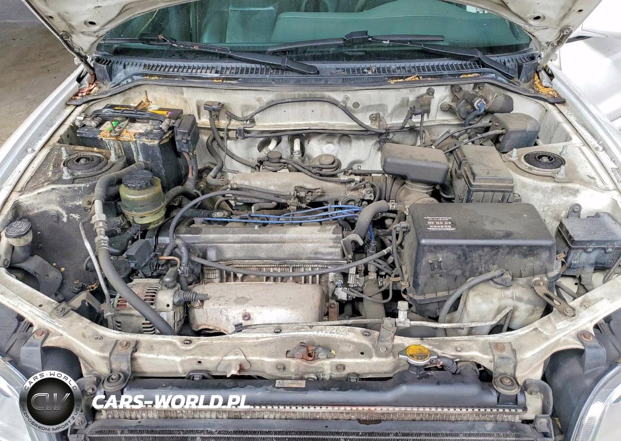 1999 Toyota Rav4 Base VIN:JT3HP10V7X7135353 - 11