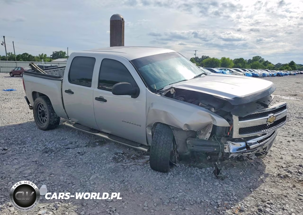 2010 Chevrolet Silverado C1500 Lt VIN:3GCRCSEA9AG165179 - 4