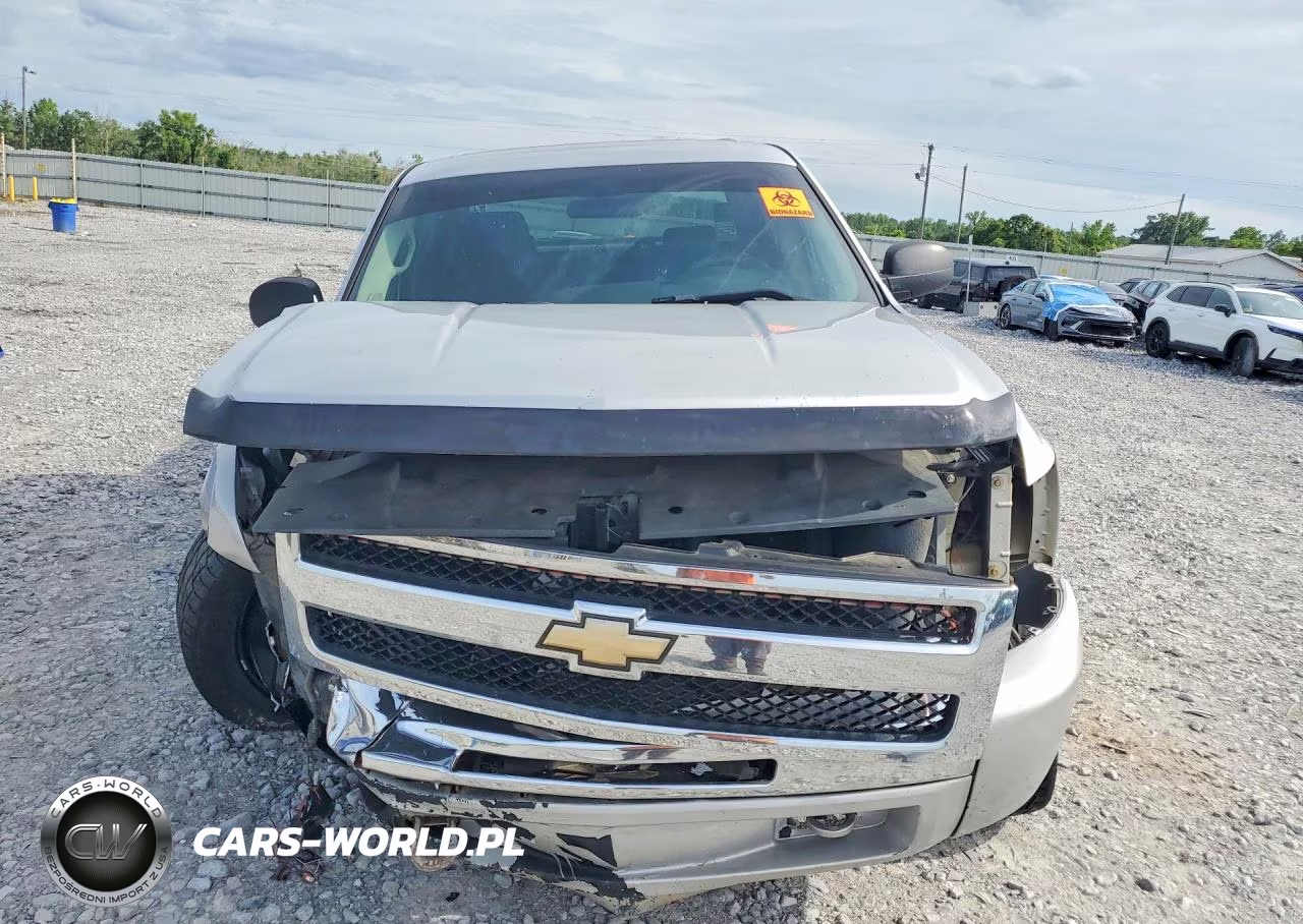2010 Chevrolet Silverado C1500 Lt VIN:3GCRCSEA9AG165179 - 5