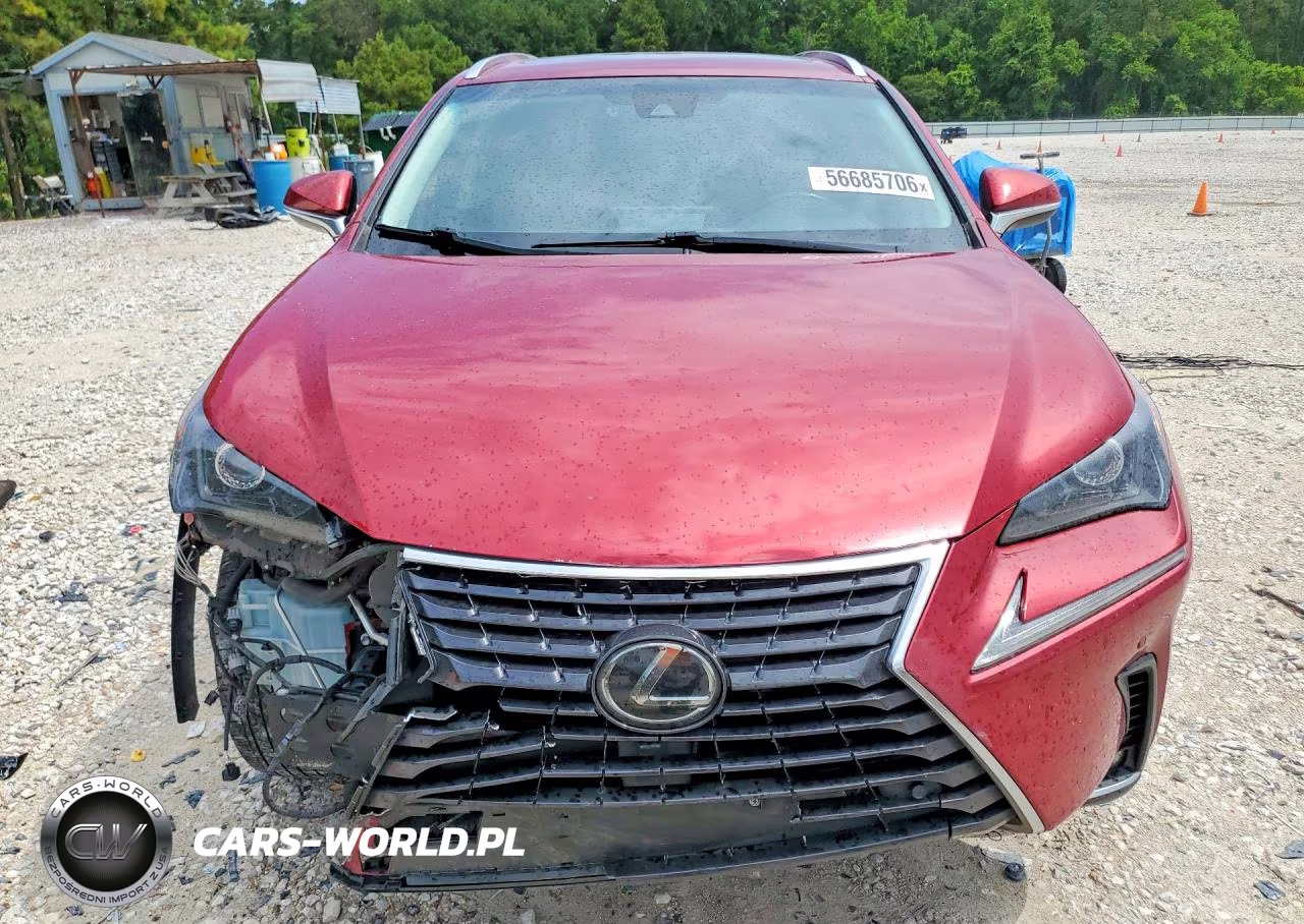 2018 Lexus Nx 300 Base VIN:JTJYARBZXJ2092088 - 5