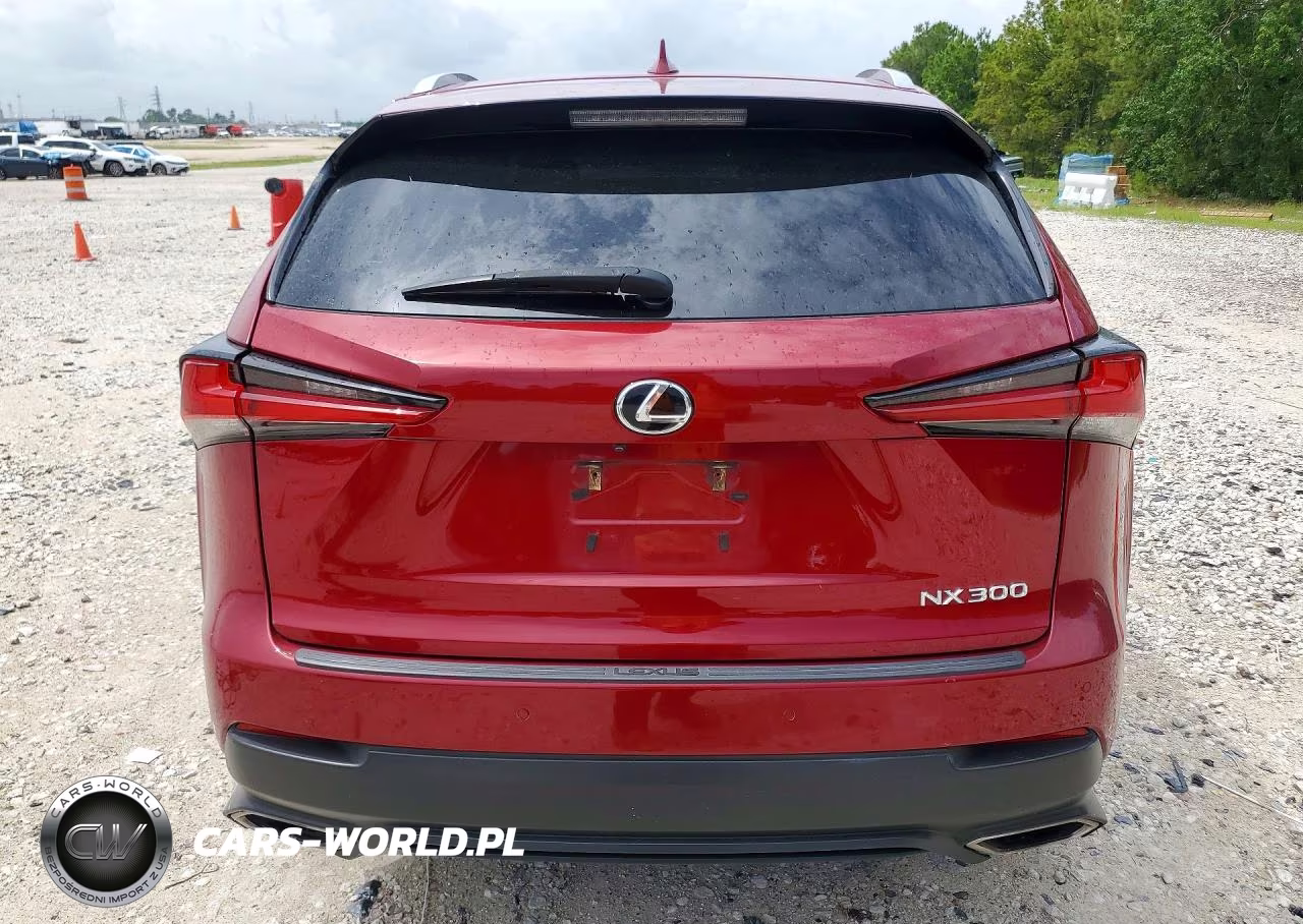 2018 Lexus Nx 300 Base VIN:JTJYARBZXJ2092088 - 6