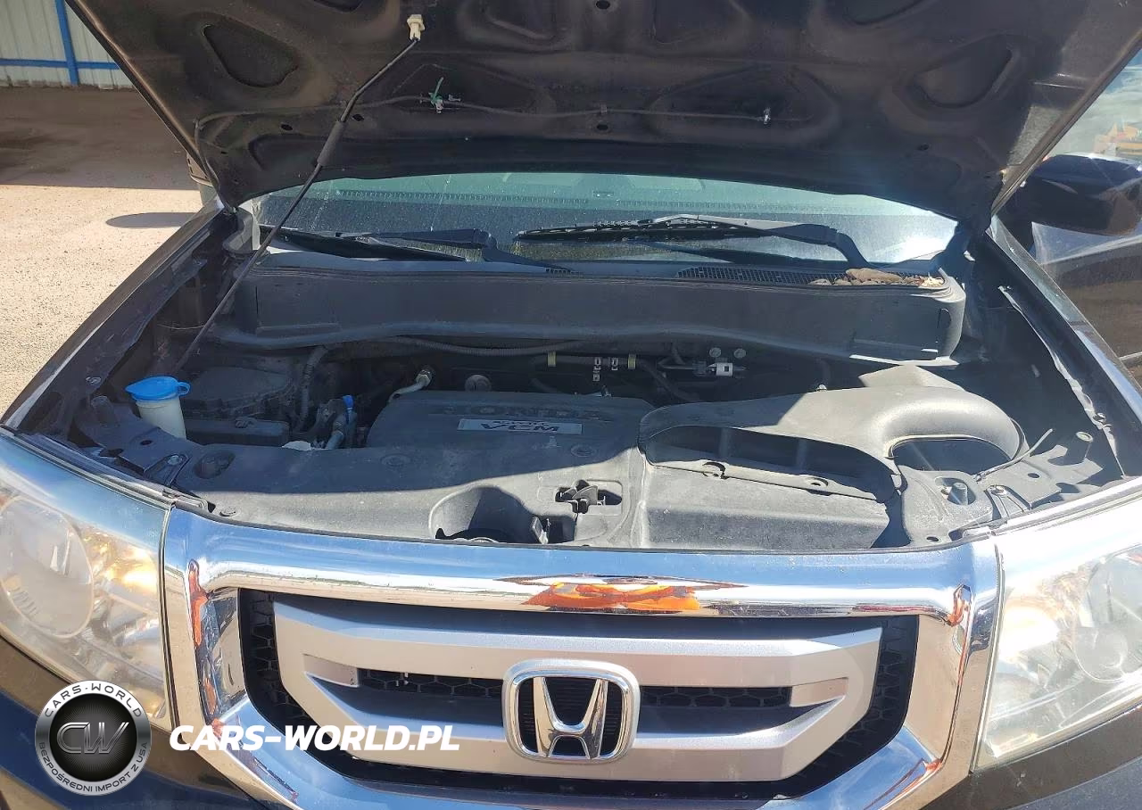 2009 Honda Pilot Exl VIN:5FNYF48699B046166 - 12
