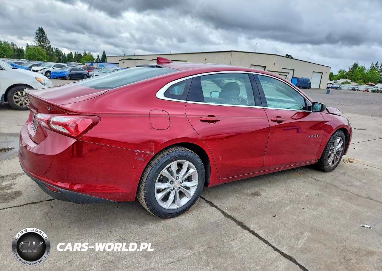2019 Chevrolet Malibu Lt VIN:1G1ZD5ST2KF124201 - 3
