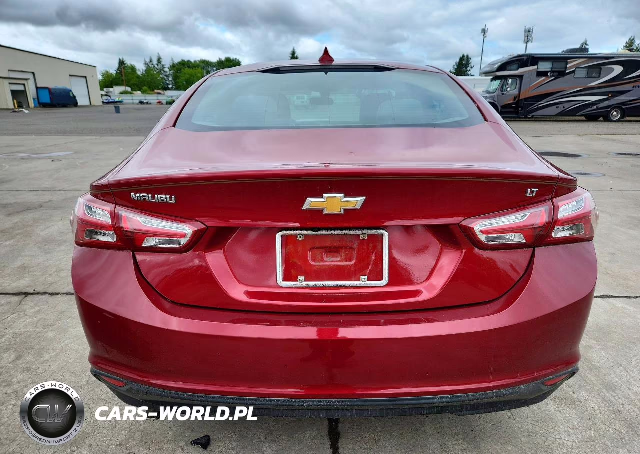 2019 Chevrolet Malibu Lt VIN:1G1ZD5ST2KF124201 - 6