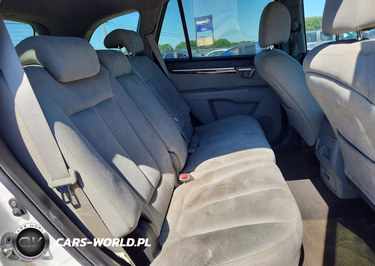 2009 Hyundai Santa Fe Gls VIN:5NMSG73D49H289344 - 11