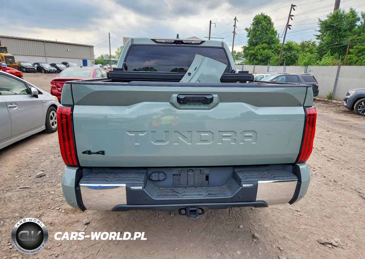 2022 Toyota Tundra Sr5 VIN:5TFLA5DB1NX014295 - 6