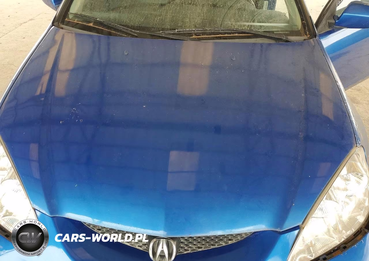 2005 Acura Rsx VIN:JH4DC53875S013684 - 11
