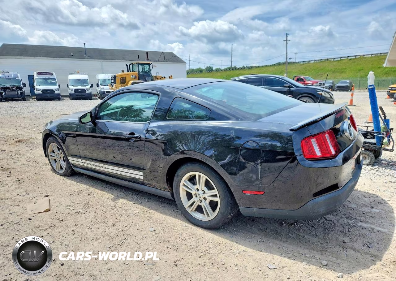 2010 Ford Mustang VIN:1ZVBP8AN4A5163183 - 2