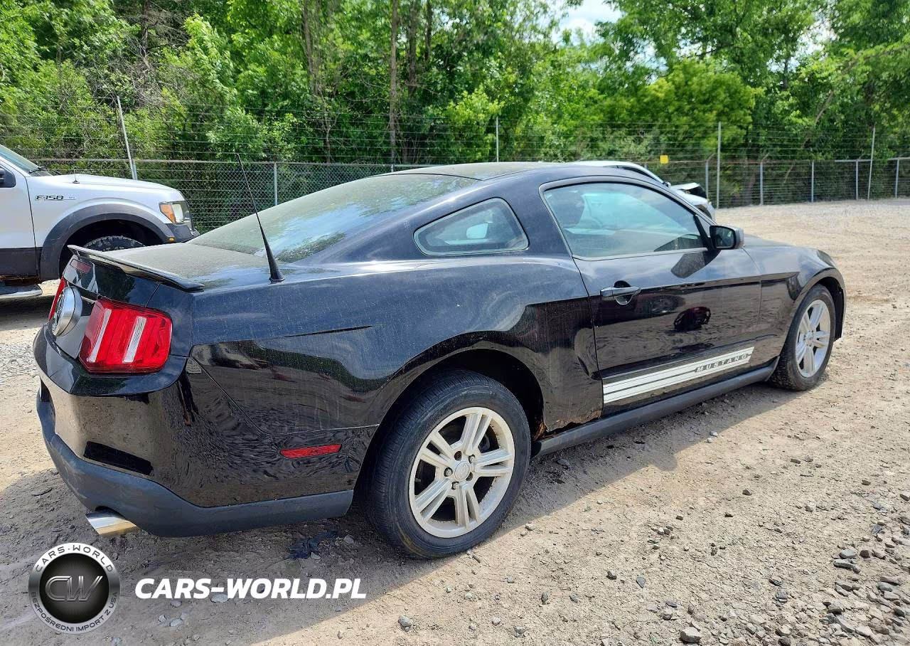 2010 Ford Mustang VIN:1ZVBP8AN4A5163183 - 3