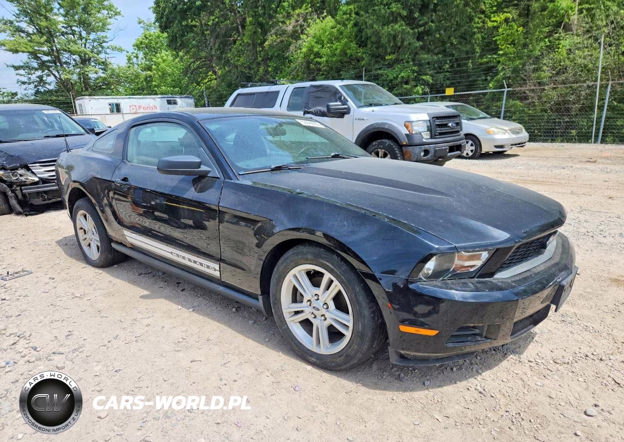 2010 Ford Mustang VIN:1ZVBP8AN4A5163183 - 4