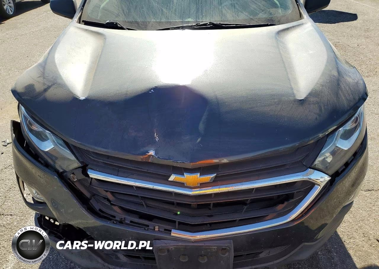 2019 Chevrolet Equinox Ls VIN:2GNAXHEV6K6185238 - 12