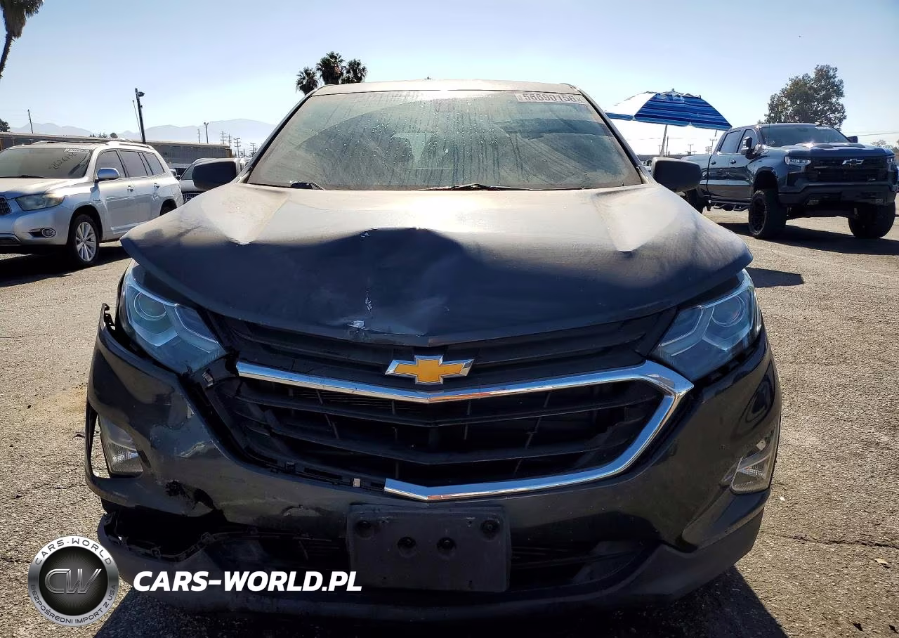 2019 Chevrolet Equinox Ls VIN:2GNAXHEV6K6185238 - 5