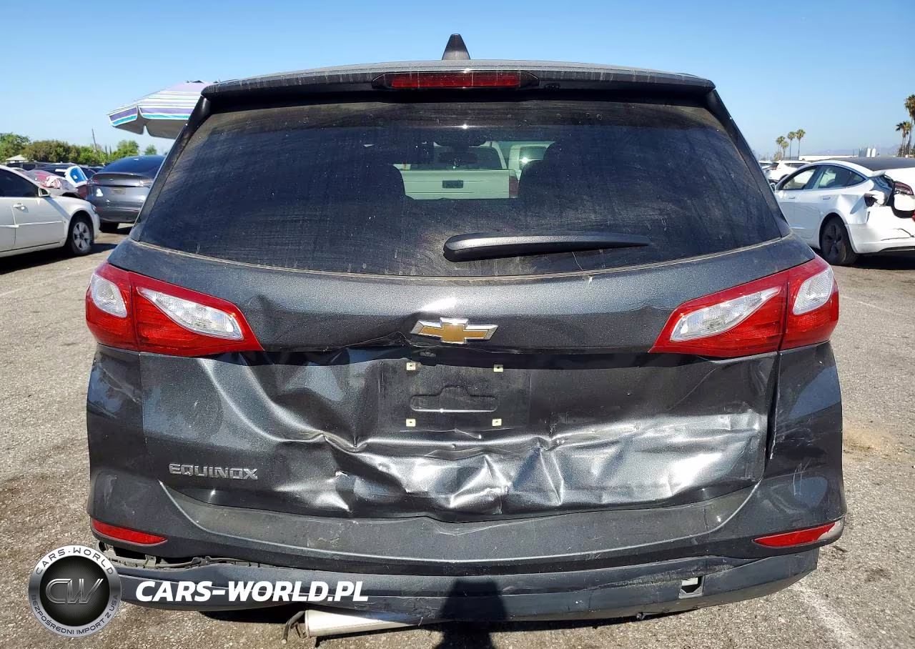 2019 Chevrolet Equinox Ls VIN:2GNAXHEV6K6185238 - 6