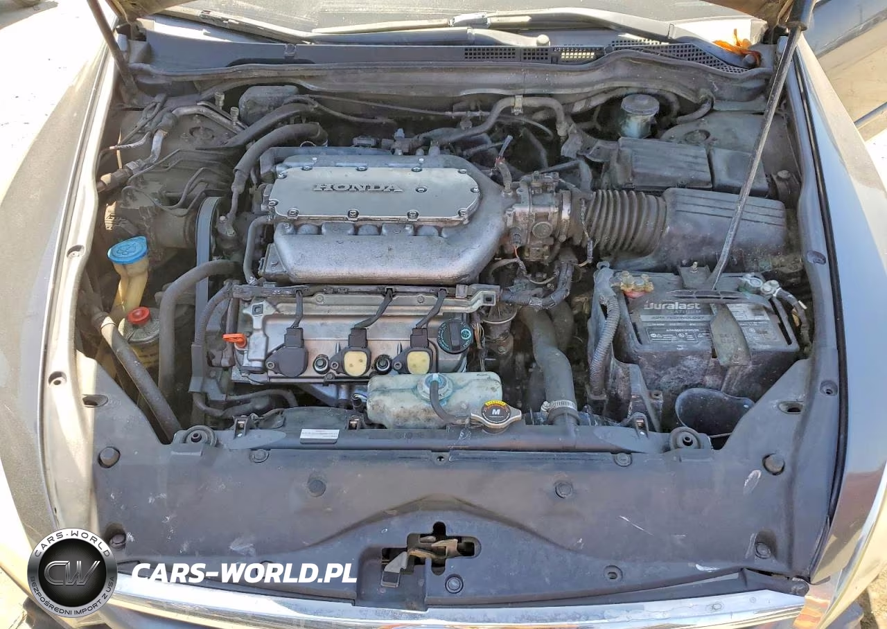 2007 Honda Accord Ex VIN:1HGCM66557A001335 - 11