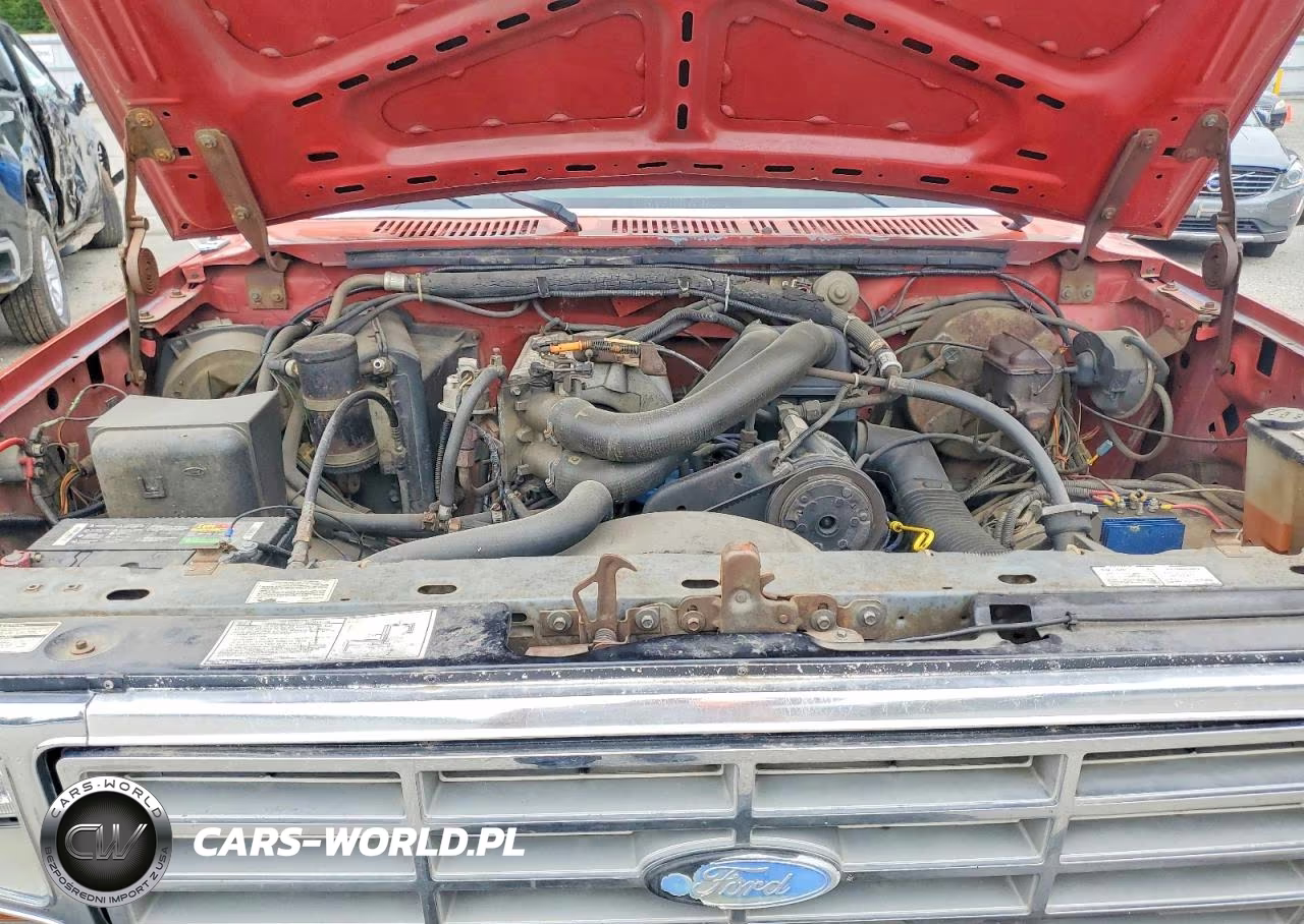 1986 Ford F150 VIN:1FTEF14N0GKA54980 - 11