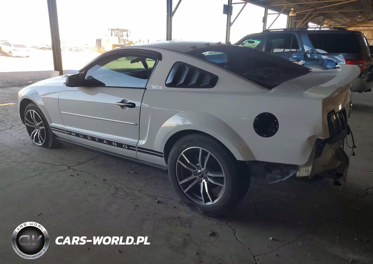 2006 Ford Mustang VIN:1ZVFT80N165201930 - 2