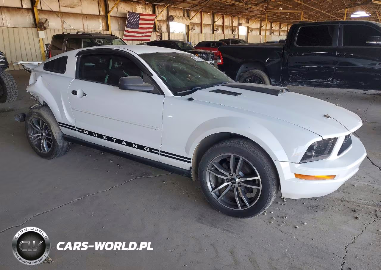 2006 Ford Mustang VIN:1ZVFT80N165201930 - 4