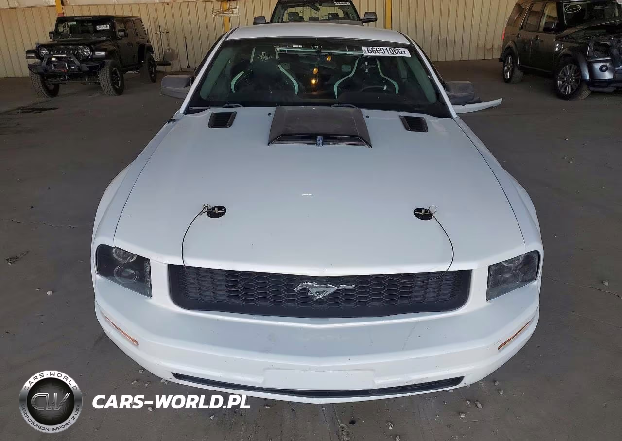 2006 Ford Mustang VIN:1ZVFT80N165201930 - 5