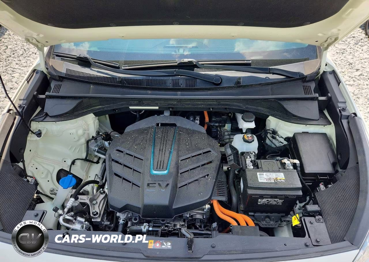 2019 Kia Niro Ex Premium VIN:KNDCE3LG0K5019291 - 12