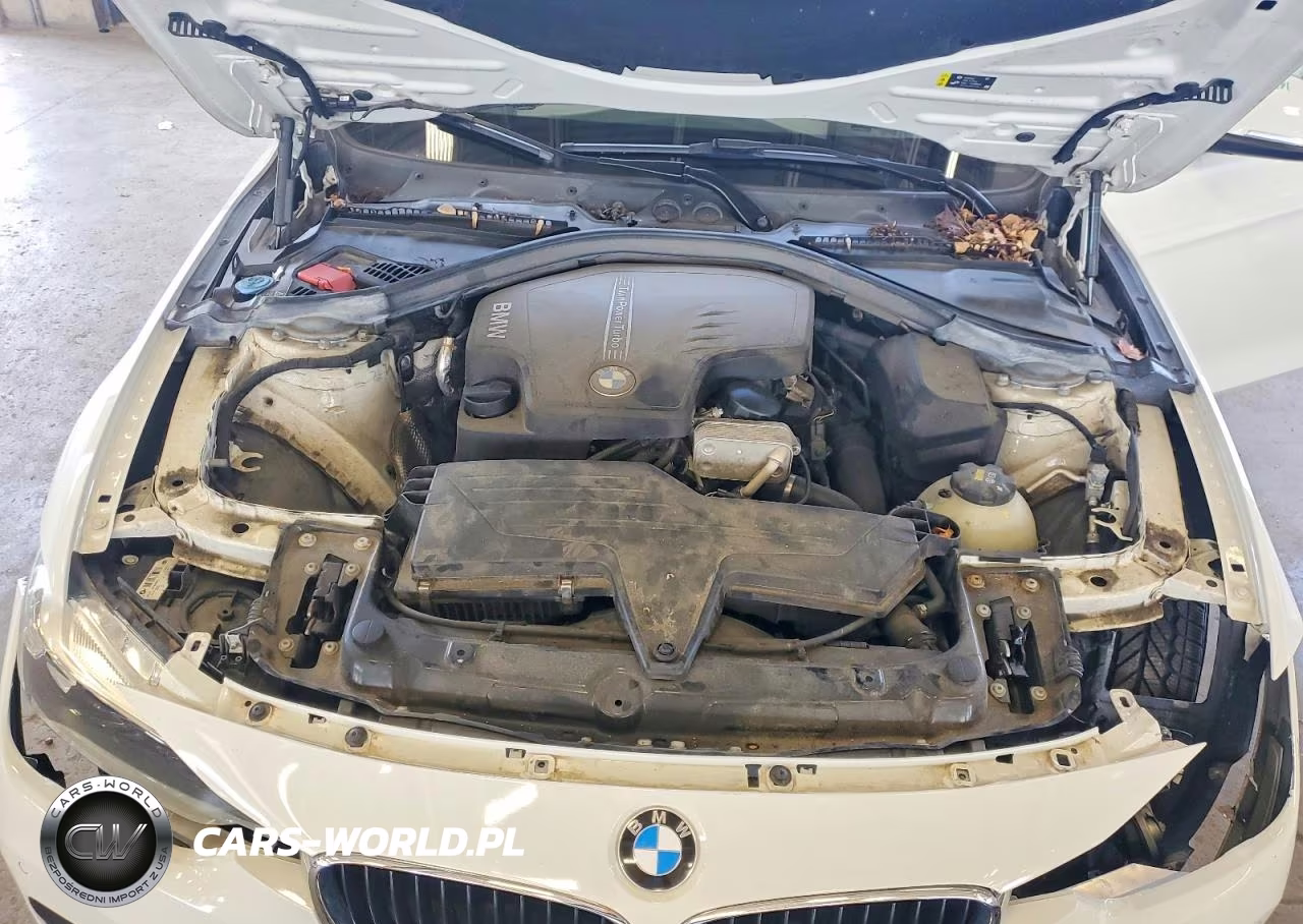 2017 BMW 320 Xi VIN:WBA8E5G35HNU44097 - 11