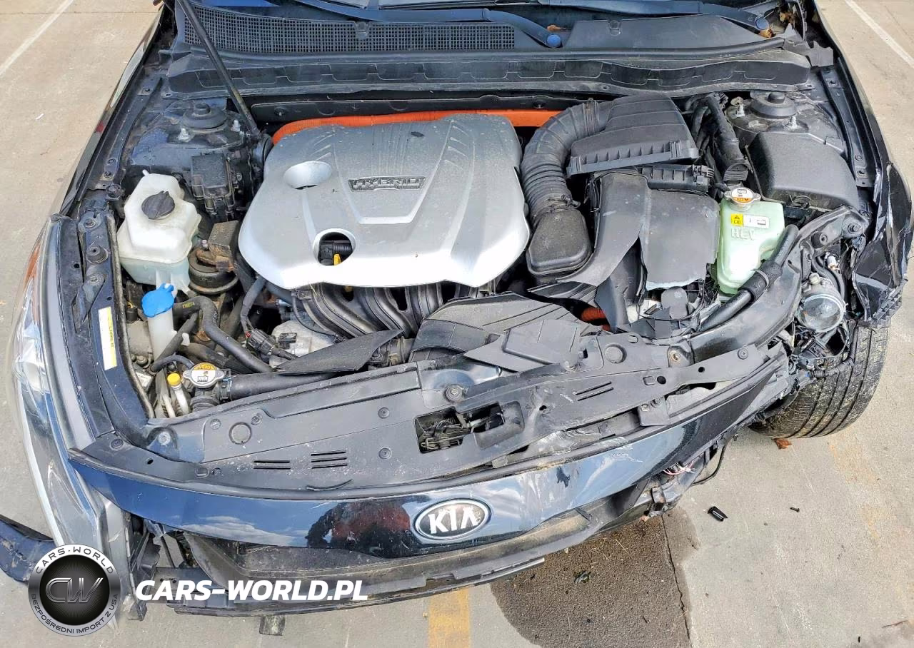 2012 Kia Optima Hybrid VIN:KNAGM4AD8C5027981 - 11