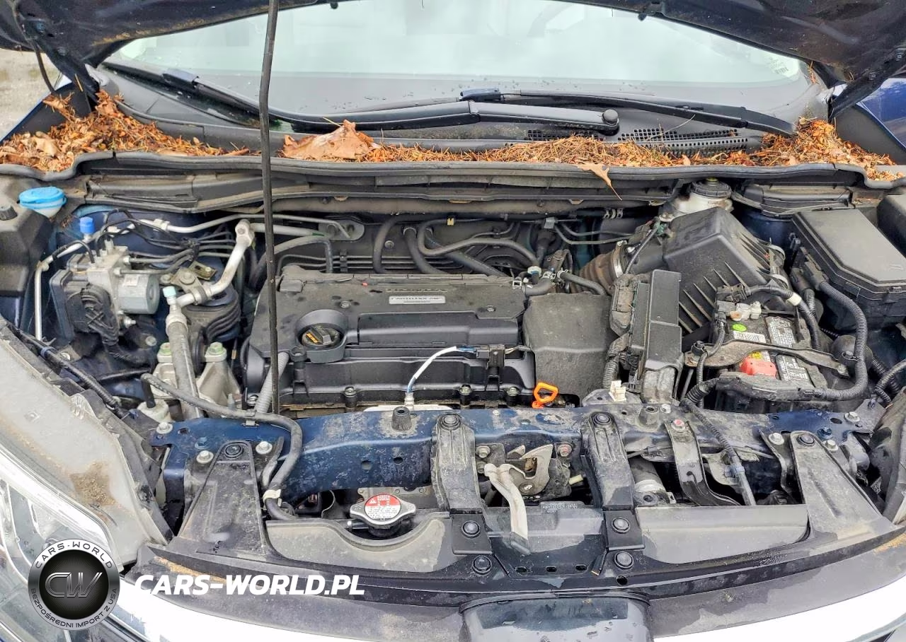 2016 Honda Cr-V Exl VIN:2HKRM4H75GH645180 - 12