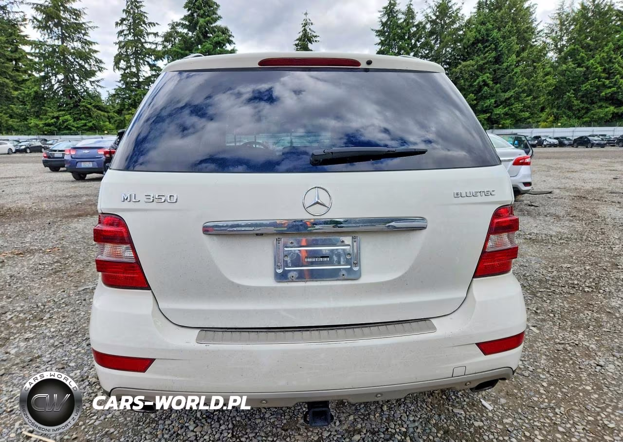2010 Mercedes-Benz Ml 350 Bluetec VIN:4JGBB2FB2AA576400 - 6