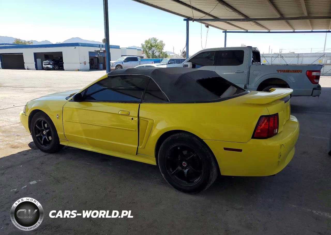 2003 Ford Mustang VIN:1FAFP44473F395733 - 2