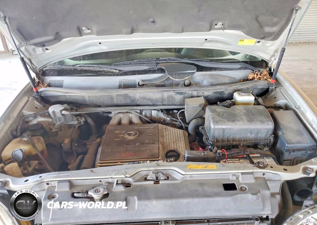 2001 Lexus Rx 300 VIN:JTJHF10U410224154 - 12