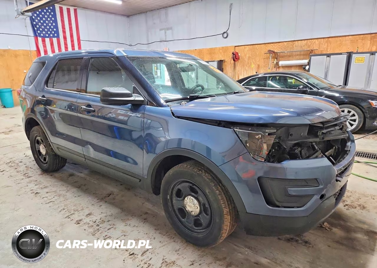 2016 Ford Explorer Police Interceptor VIN:1FM5K8AR6GGA19029 - 4