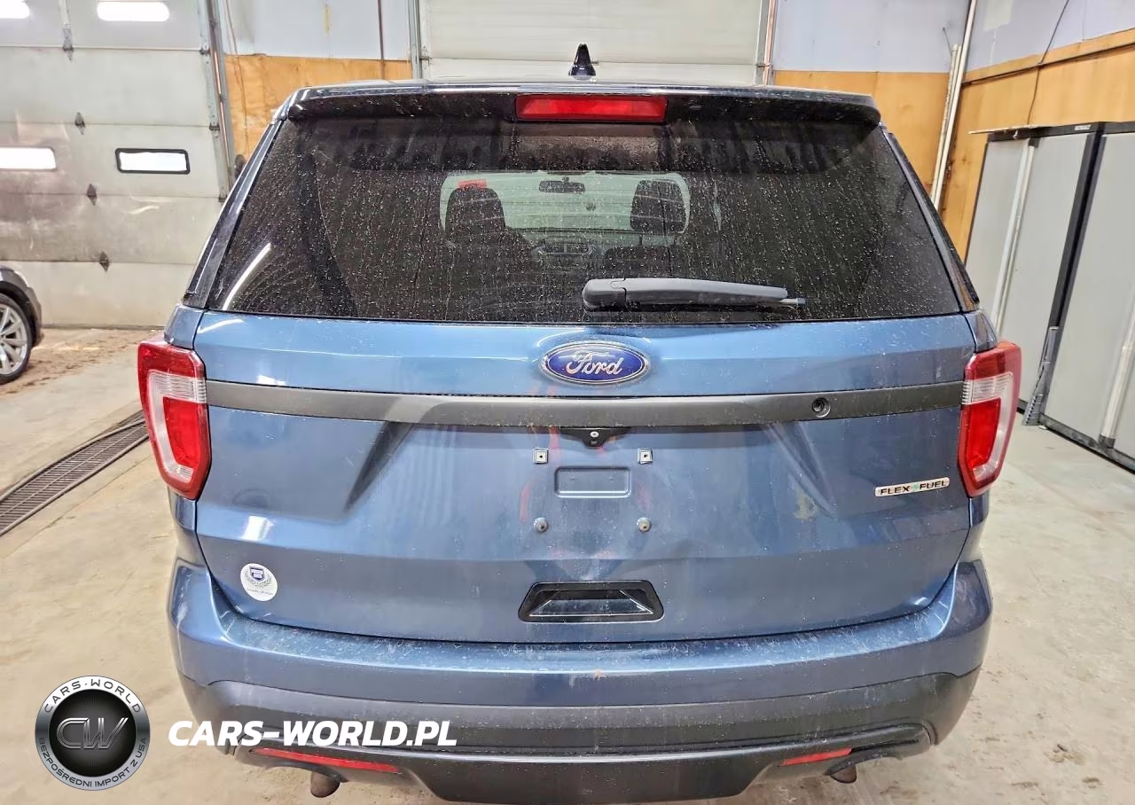2016 Ford Explorer Police Interceptor VIN:1FM5K8AR6GGA19029 - 6