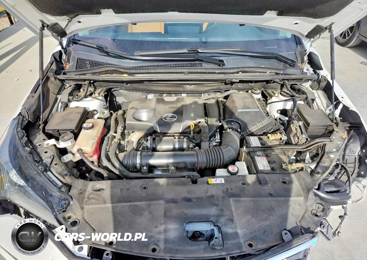 2020 Lexus Nx 300 VIN:JTJDARBZ6L2177334 - 12