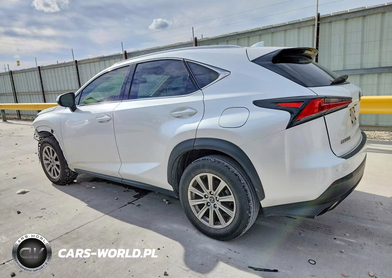 2020 Lexus Nx 300 VIN:JTJDARBZ6L2177334 - 2