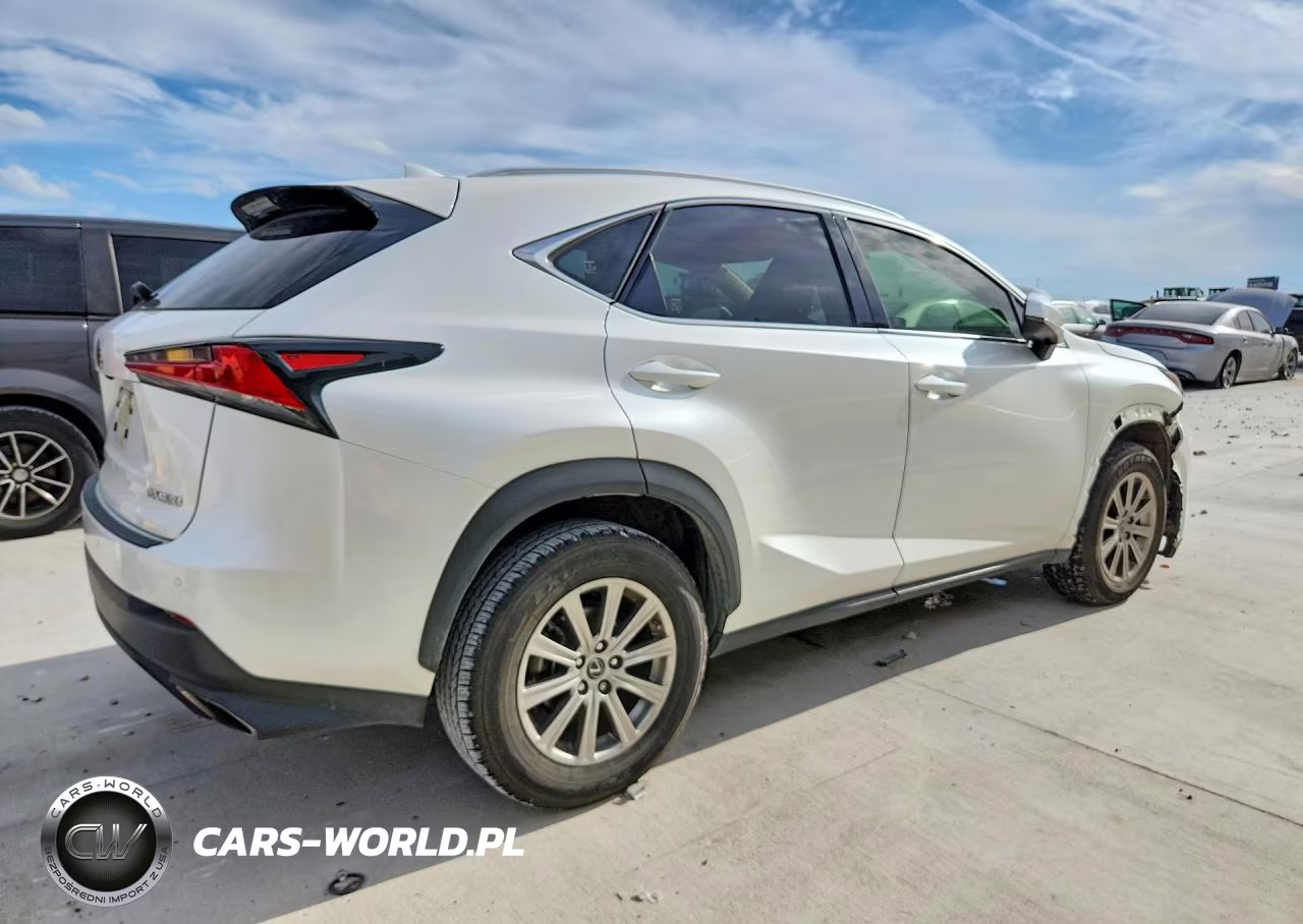2020 Lexus Nx 300 VIN:JTJDARBZ6L2177334 - 3