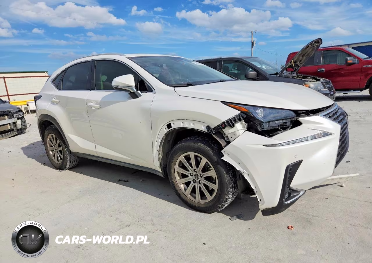 2020 Lexus Nx 300 VIN:JTJDARBZ6L2177334 - 4