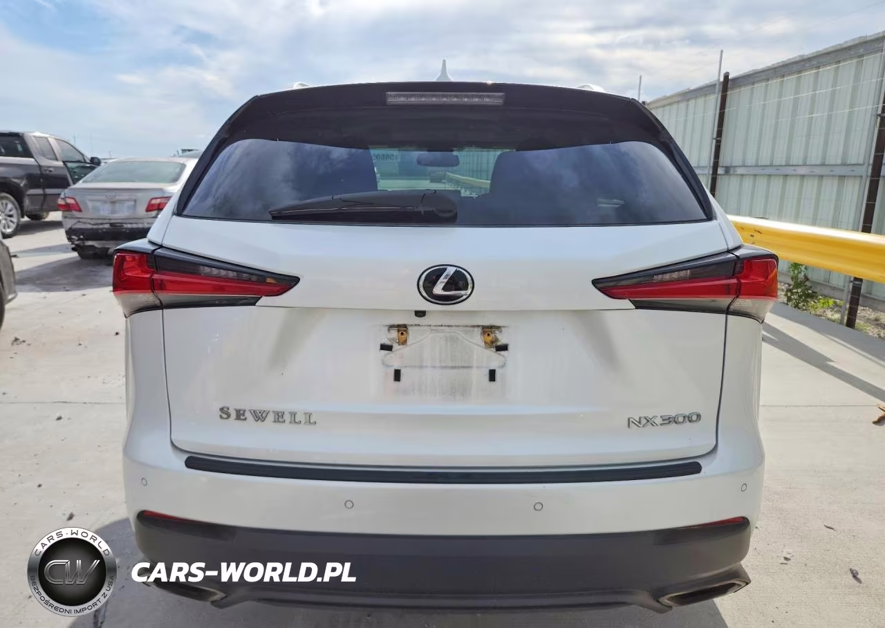 2020 Lexus Nx 300 VIN:JTJDARBZ6L2177334 - 6