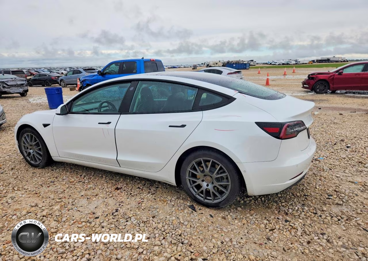 2021 Tesla Model 3 VIN:5YJ3E1EA5MF854821 - 2