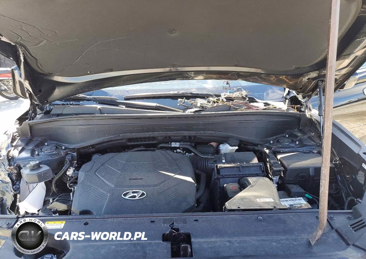2024 Hyundai Palisade Calligraphy VIN:KM8R7DGE6RU698658 - 12